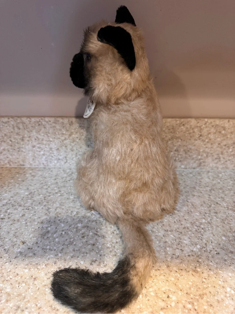 My Best Friend Plush Siamese Cat - Cream and Black from Hallmark